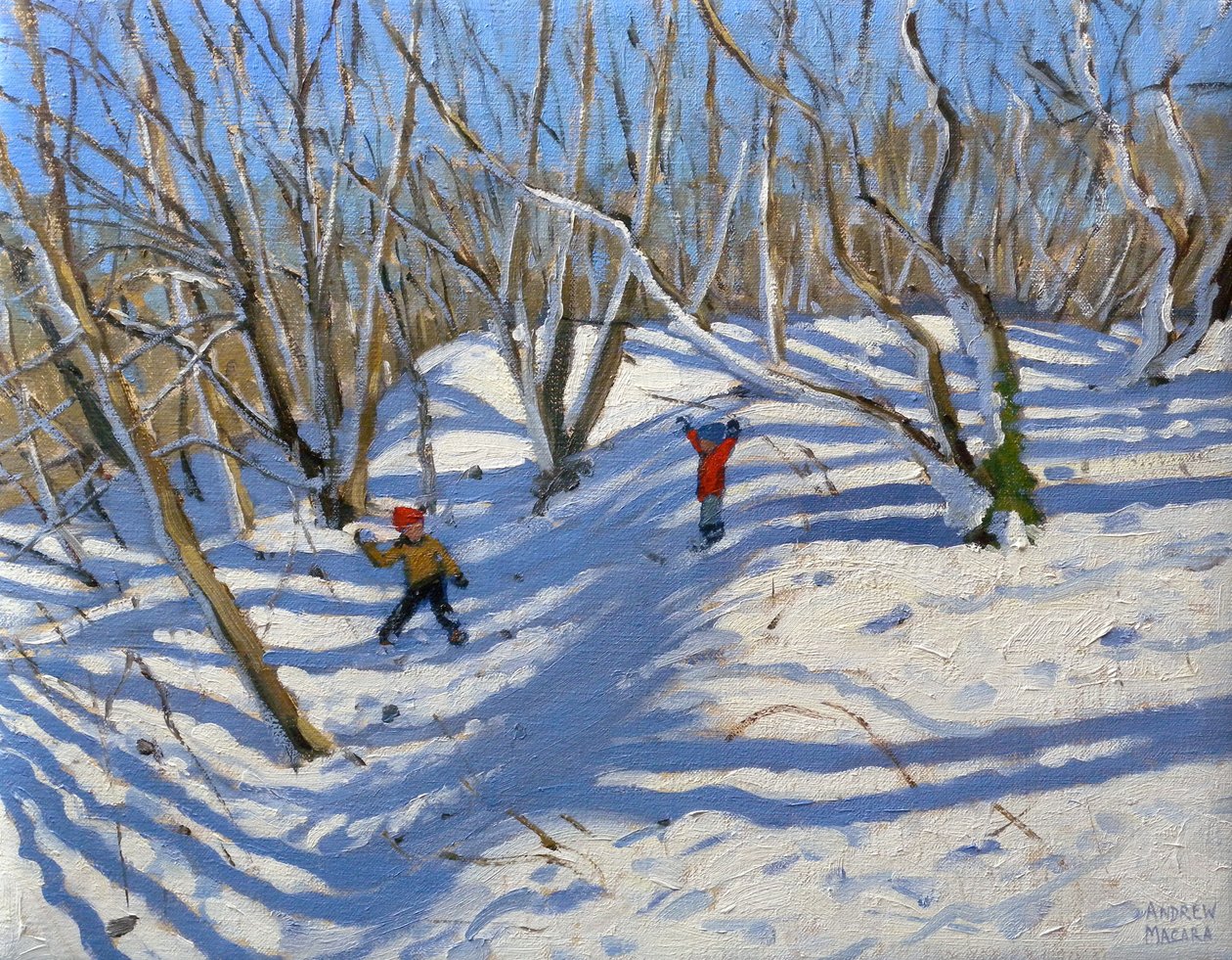 Wiosenny śnieg, Newhaven Derbyshire, 2008 autorstwa Andrew Macara