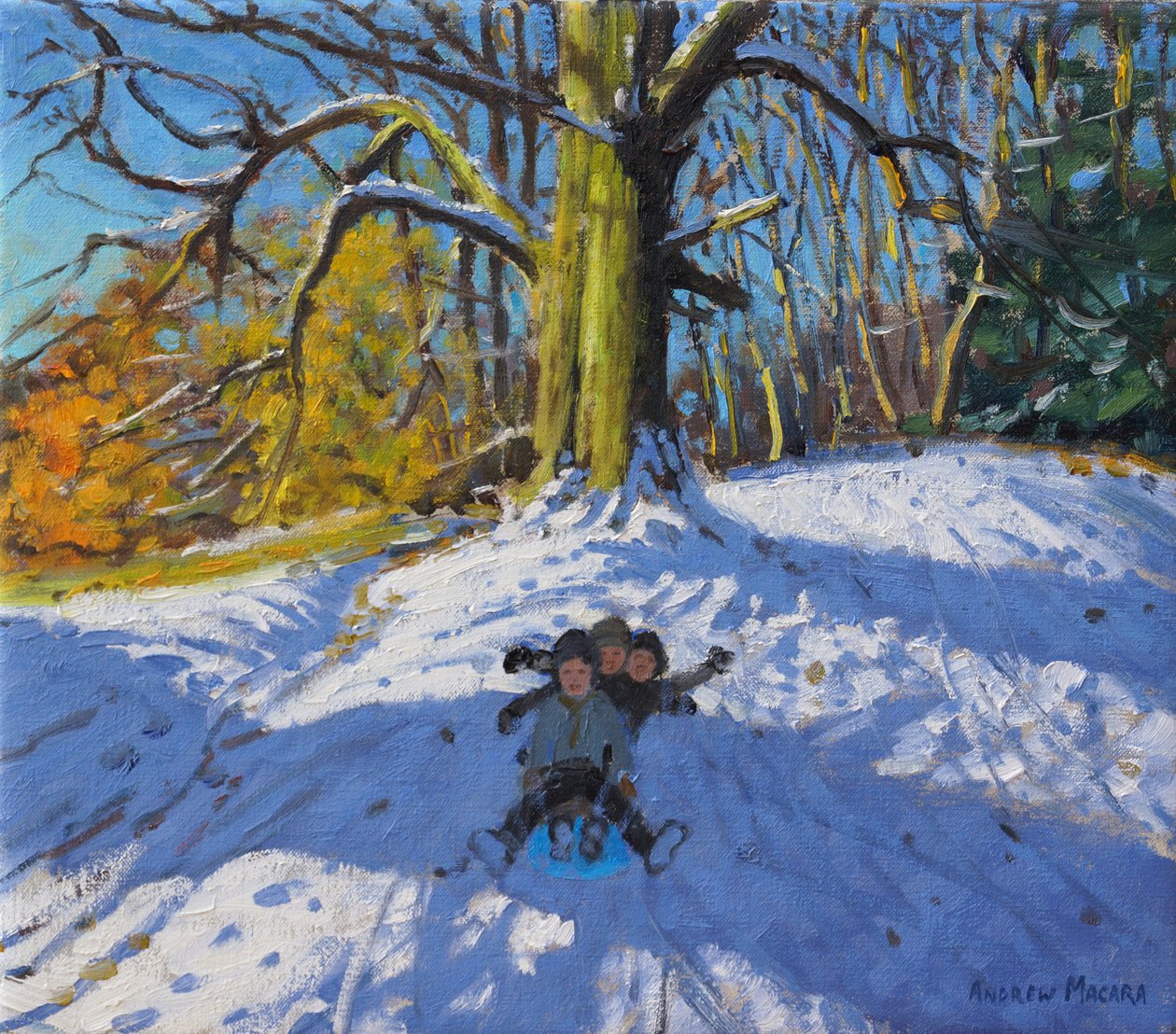 Trzy na sankach, Allestree Park Derby .2014, autorstwa Andrew Macara