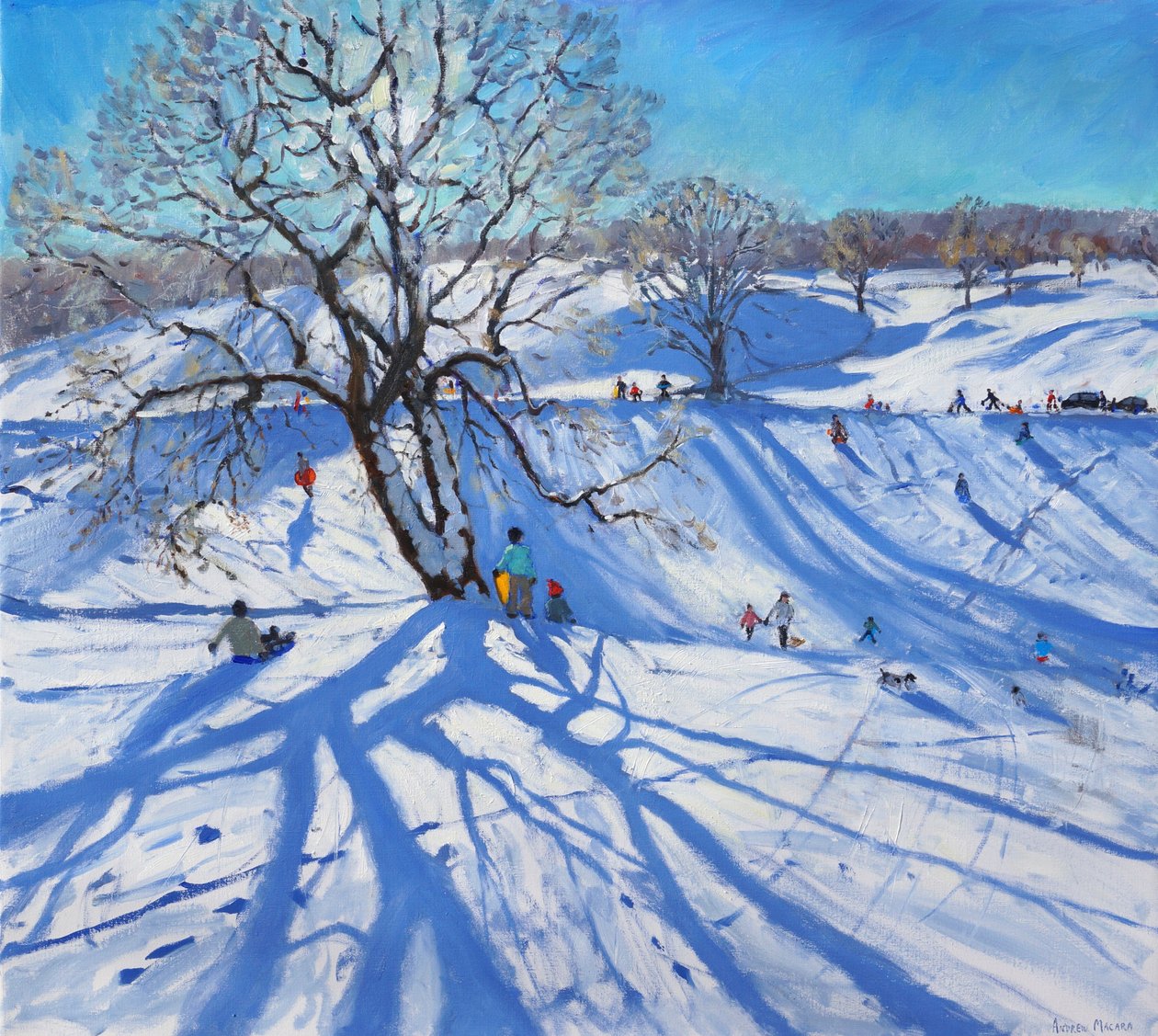 Saneczkarze, Chatsworth, 2012 autorstwa Andrew Macara