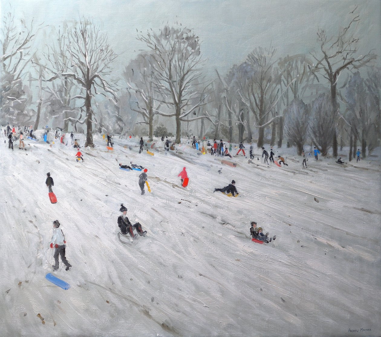 Saneczkarstwo, Darley Park, 2009 (olej na płótnie) autorstwa Andrew Macara