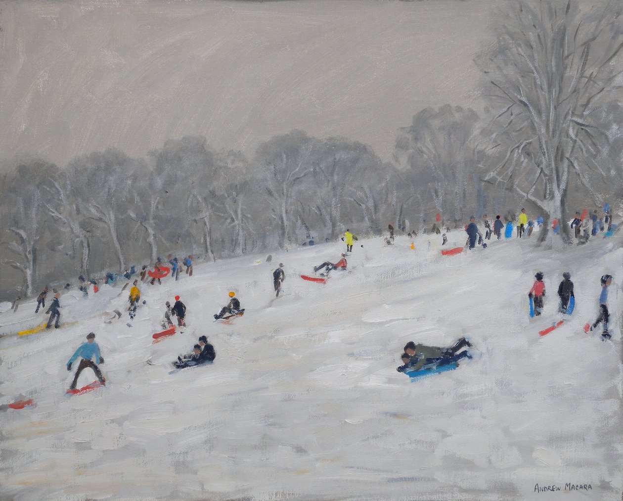 Zima, Darley Park, 2009 autorstwa Andrew Macara