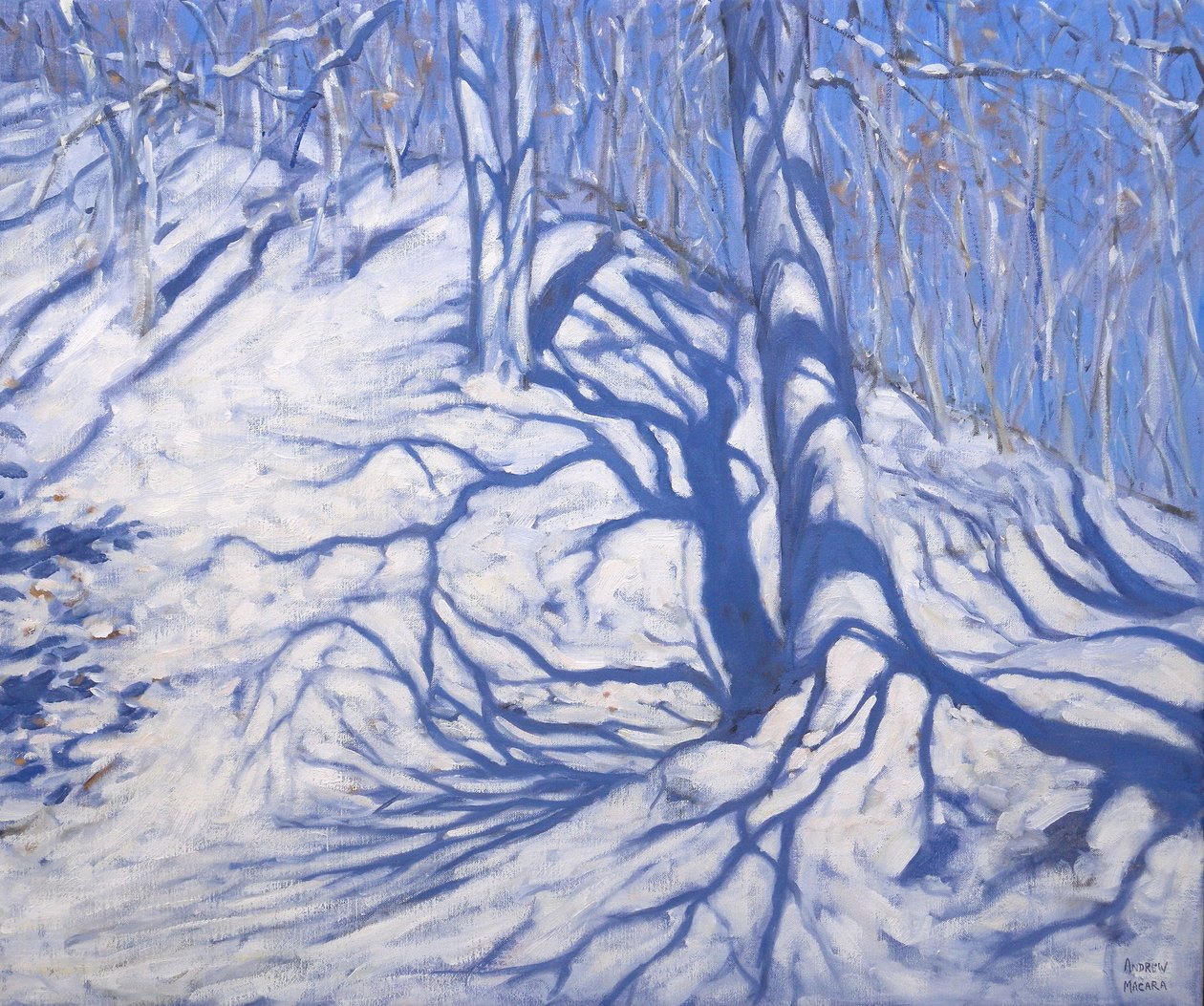 Winter Woodland, niedaleko Courcheval, 2008 autorstwa Andrew Macara