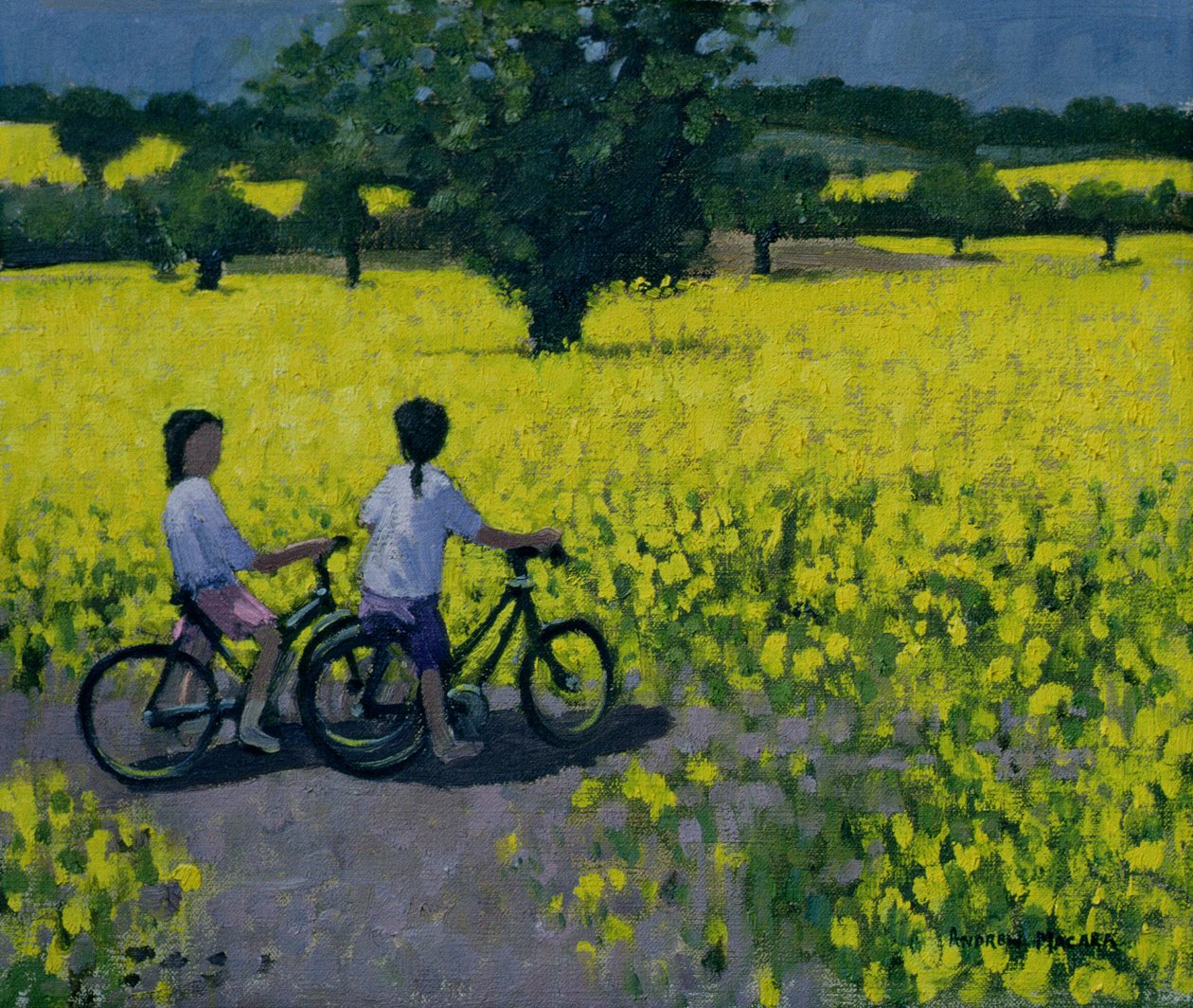 Żółte Pole, Kedleston, Derby autorstwa Andrew Macara