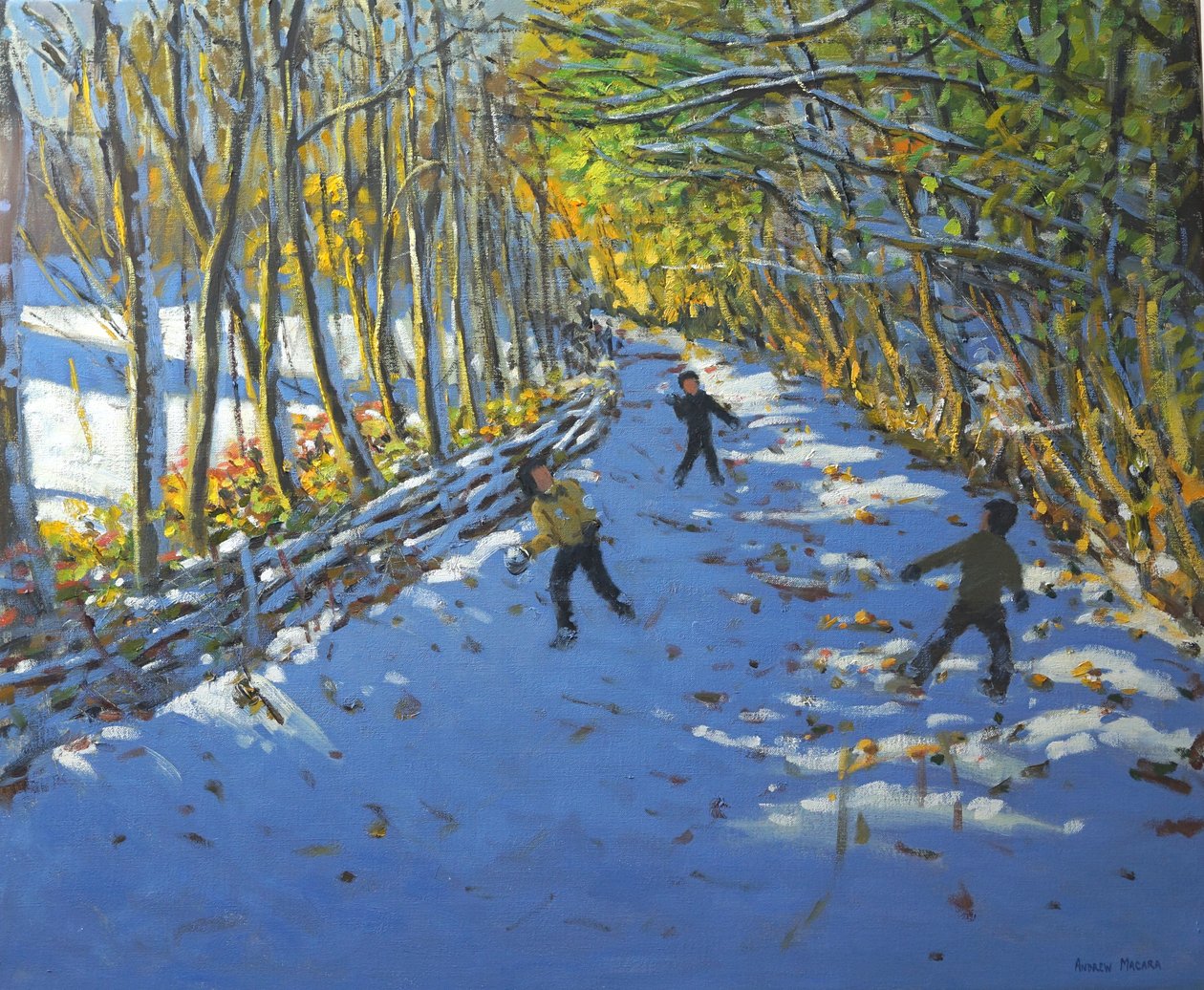 Żółte drzewa, Allestree Park, 2012 autorstwa Andrew Macara