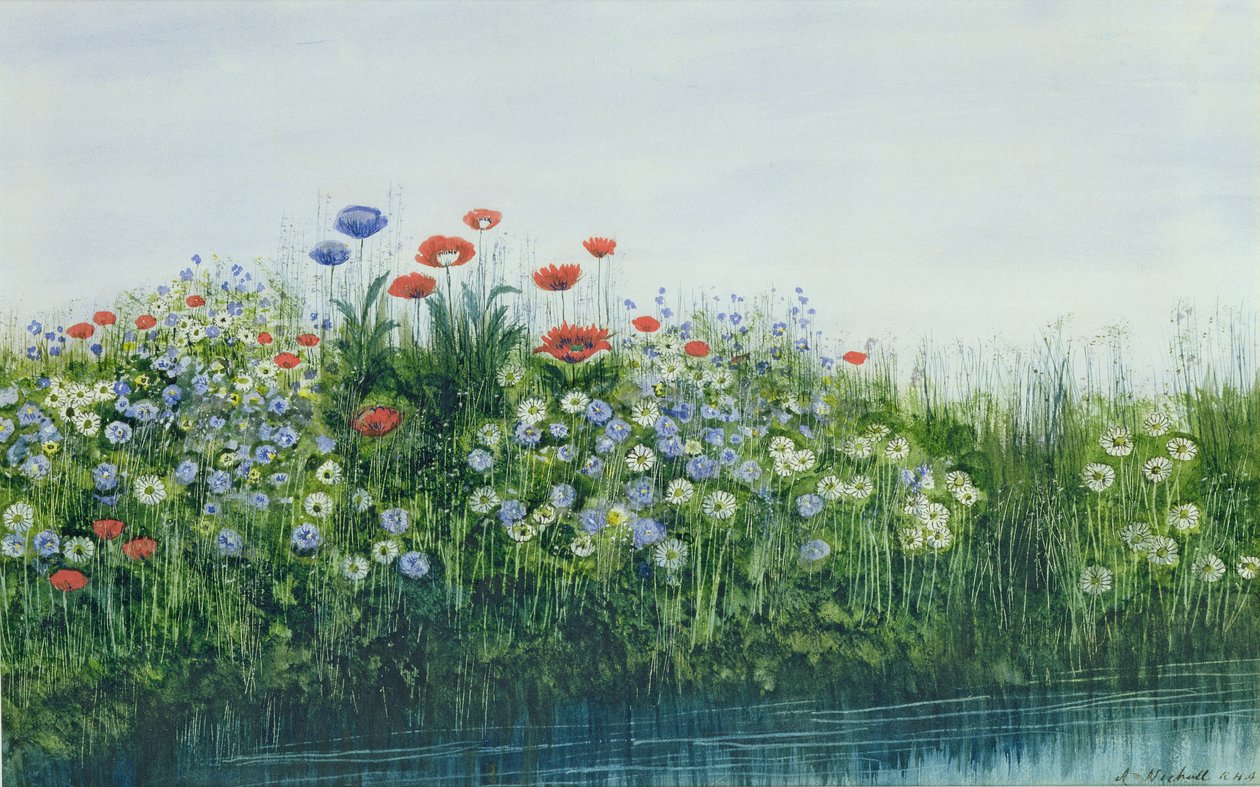 Maki nad strumieniem autorstwa Andrew Nicholl