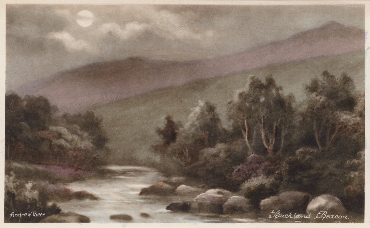  autorstwa Andrew Beer