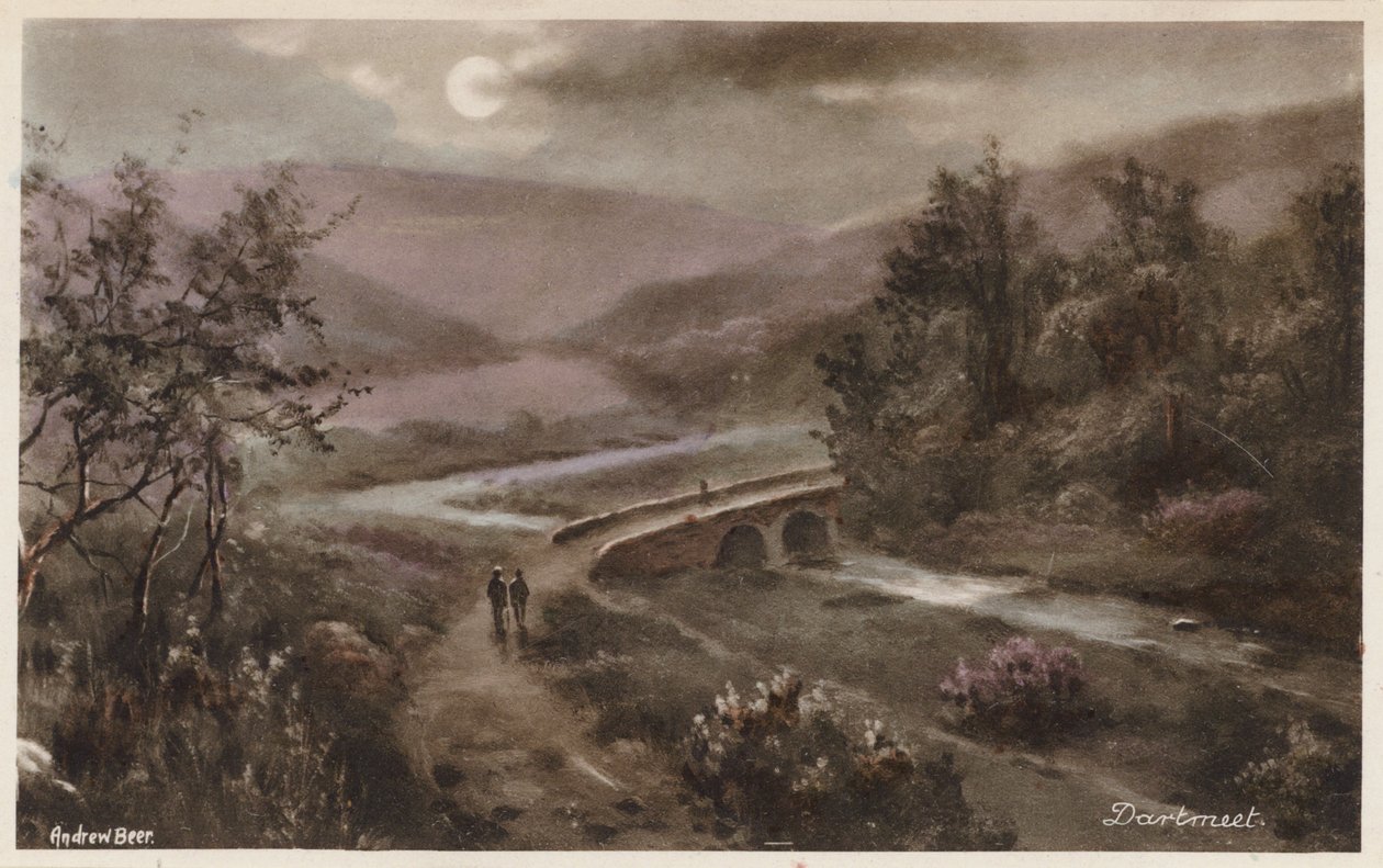  autorstwa Andrew Beer