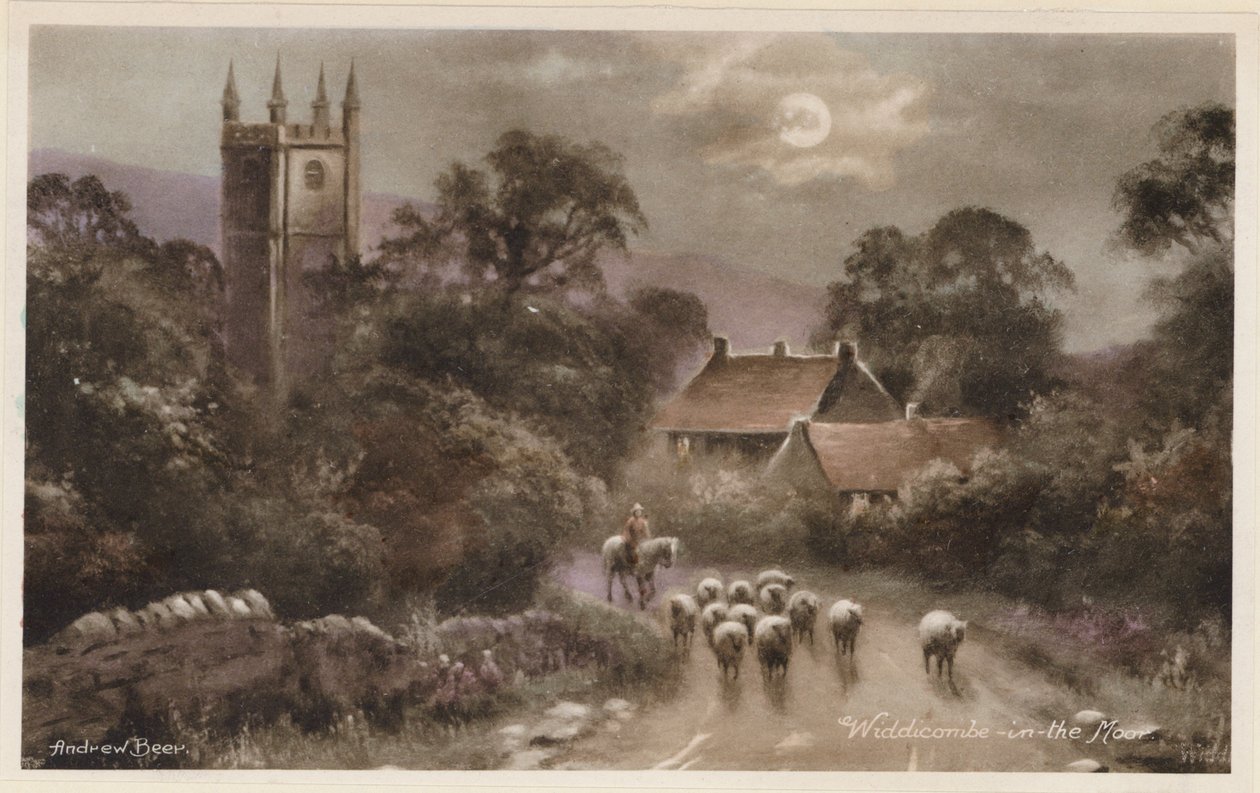  autorstwa Andrew Beer