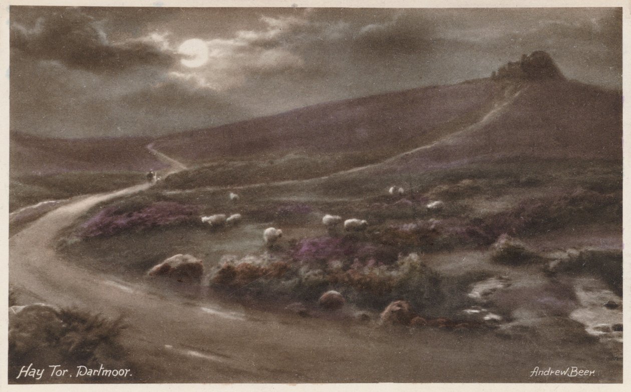  autorstwa Andrew Beer