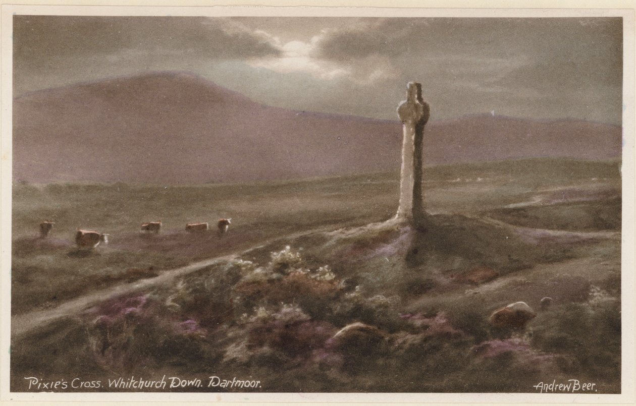  autorstwa Andrew Beer