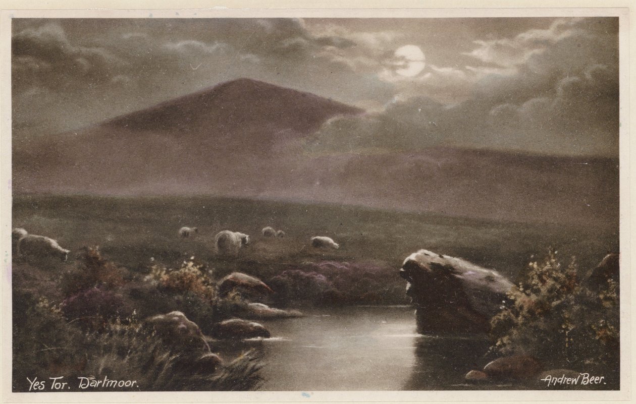  autorstwa Andrew Beer