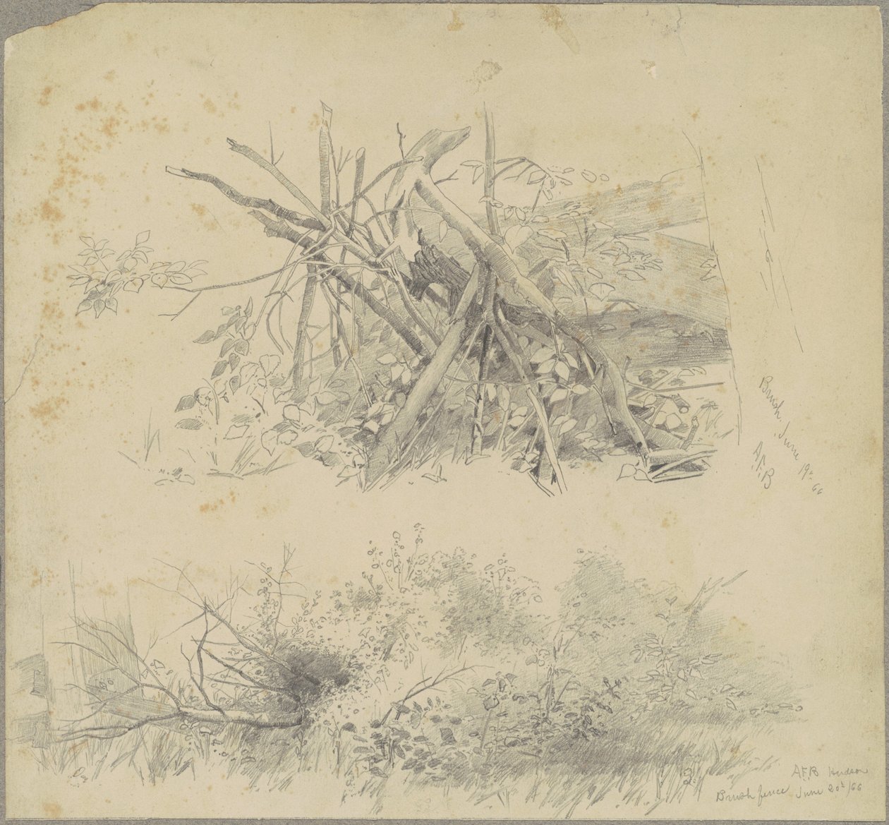 Szczotka; i Hudson Brush Fence autorstwa Andrew Fisher Bunner