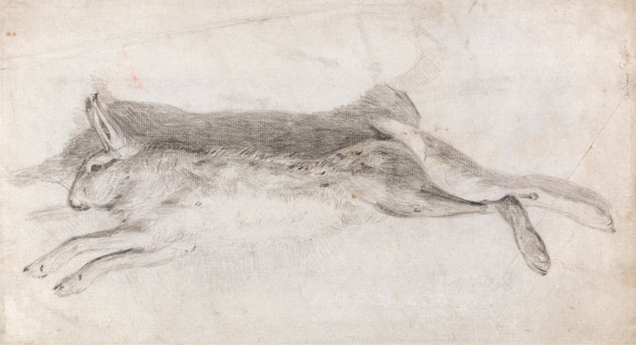 Martwy Zając autorstwa Andrew Geddes