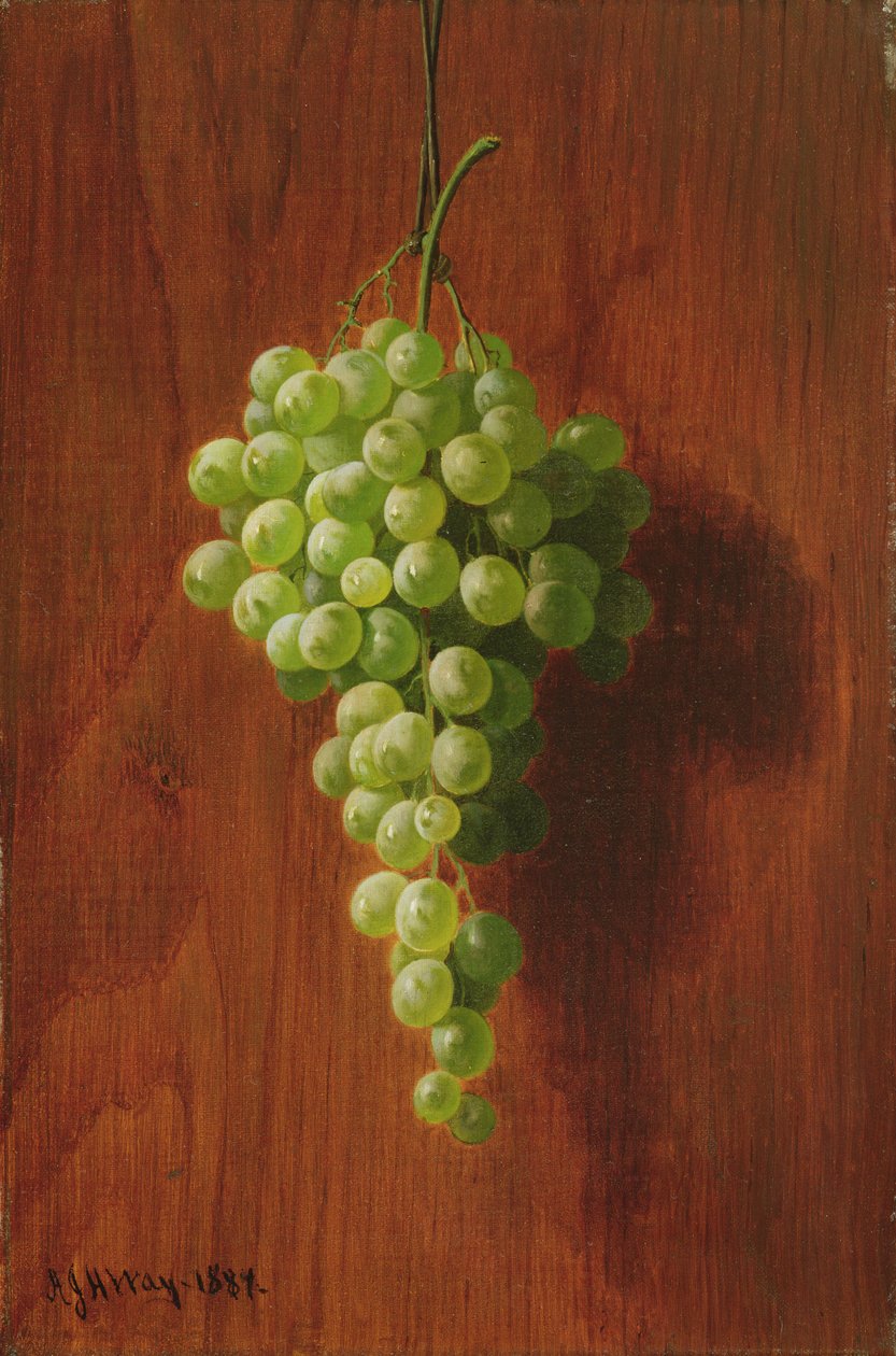 Winogrona (zielone), 1884 autorstwa Andrew John Henry Way
