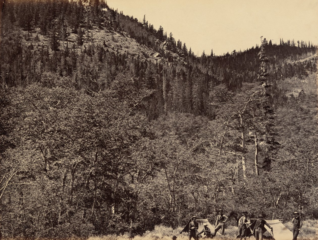 Płyta 19. Wśród drewna na czele rzeki Little Laramie, 1869 (zdjęcie) autorstwa Andrew Joseph Russell