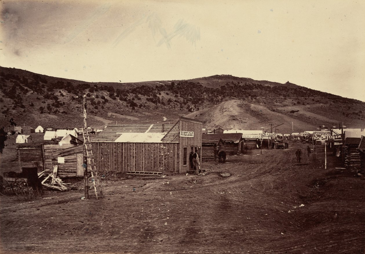 Płyta 29. Bear River City, w pobliżu pól węglowych, 1869 r. (zdjęcie) autorstwa Andrew Joseph Russell
