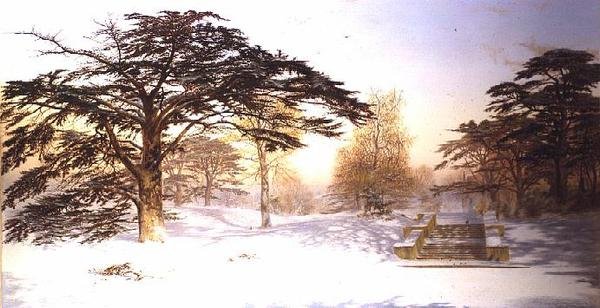 Niedeptany śnieg w promieniu trzech mil od Charing Cross; Holland Park autorstwa Andrew MacCallum