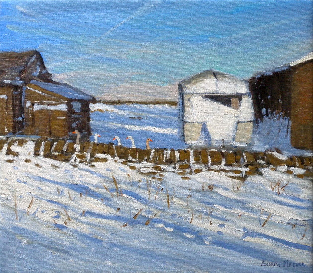Karawana i gęsi, Derbyshire, 2011 (olej na płótnie) autorstwa Andrew Macara