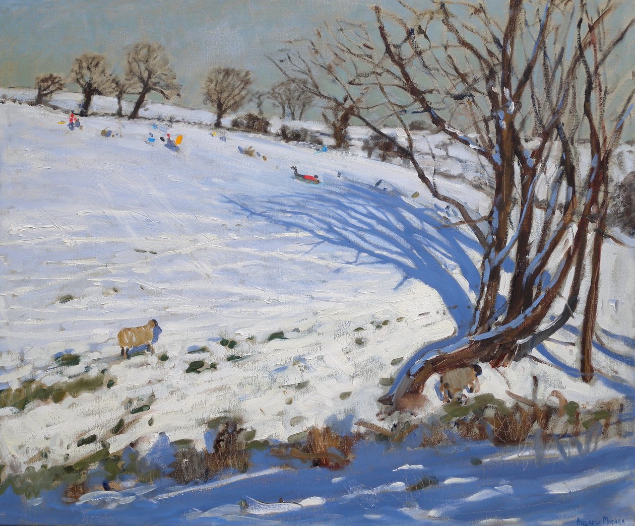  autorstwa Andrew Macara