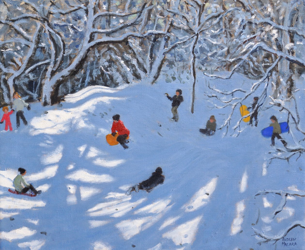 Boże Narodzenie,Allestree Woods,Derby,2017, autorstwa Andrew Macara