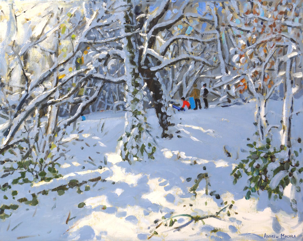 Świąteczna jazda na sankach w Allestree Woods, 16x20 ,2013 autorstwa Andrew Macara