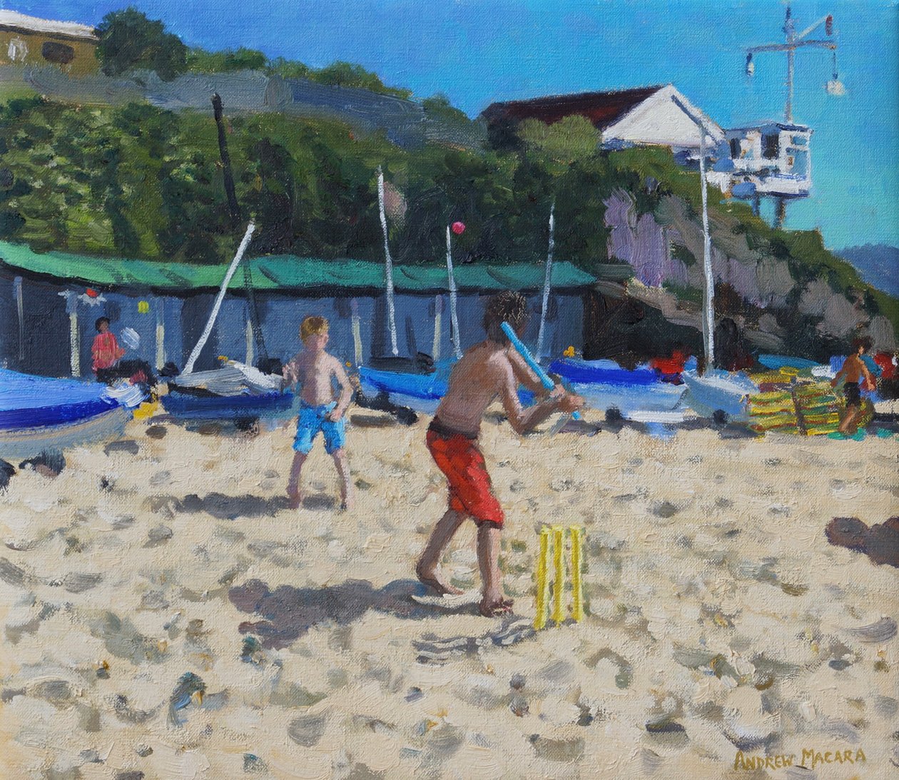 Świerszcz i żółte kikuty ,Abersoch autorstwa Andrew Macara