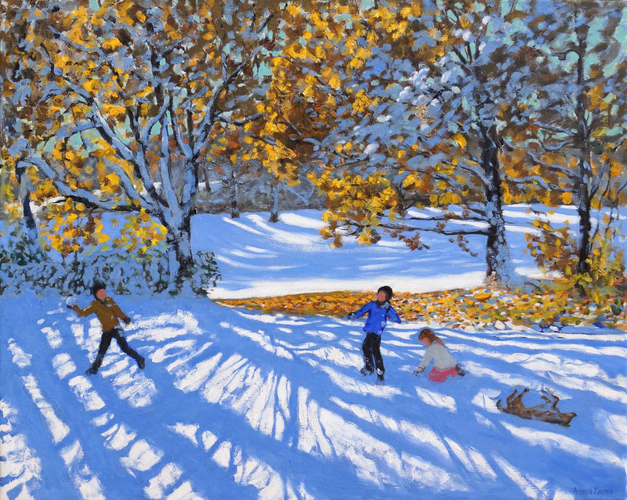 Wczesny śnieg, Allestree Park. 2017, autorstwa Andrew Macara
