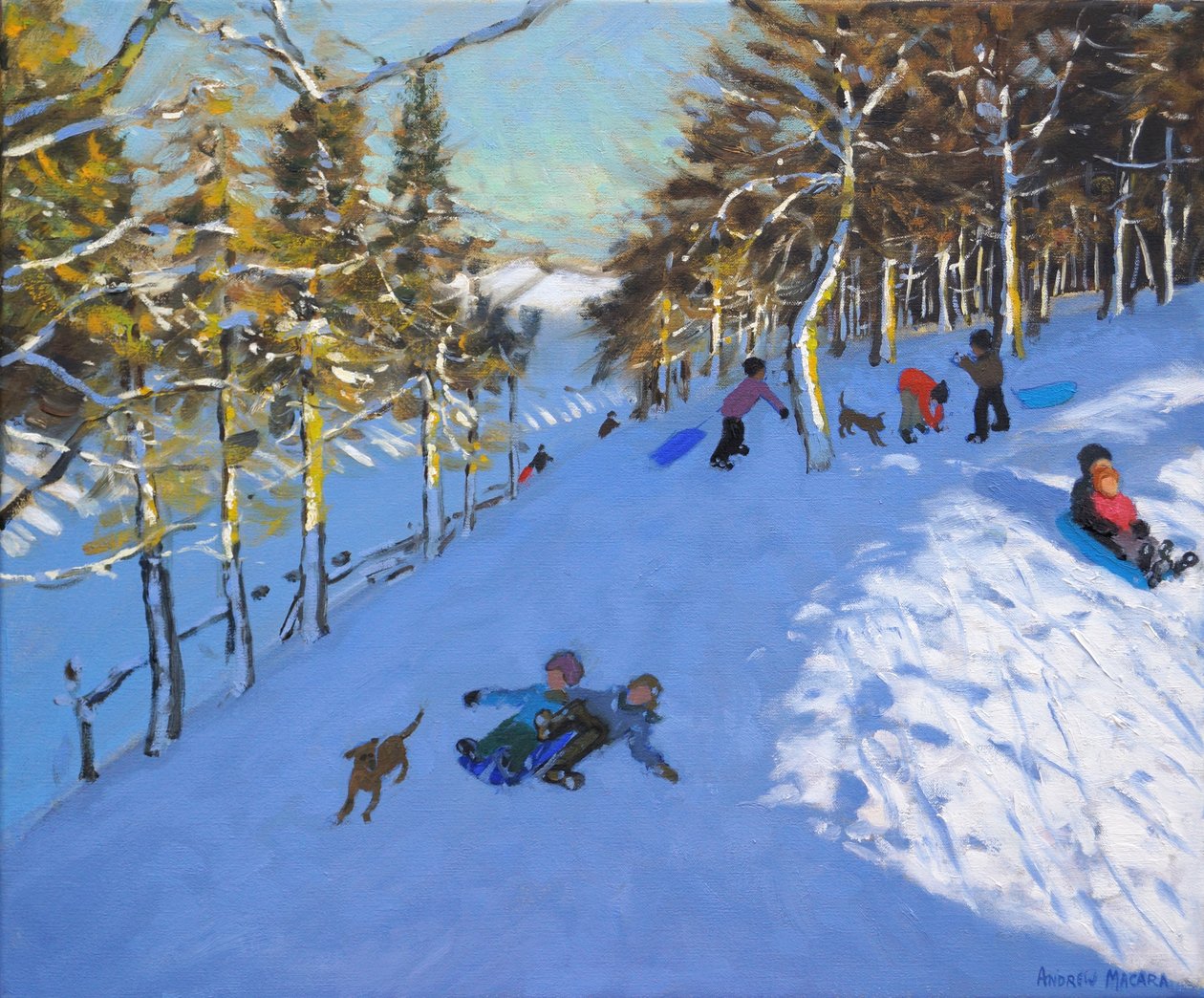 Rodzinna jazda na sankach, Youlgreave, Derbyshire. 2016, autorstwa Andrew Macara