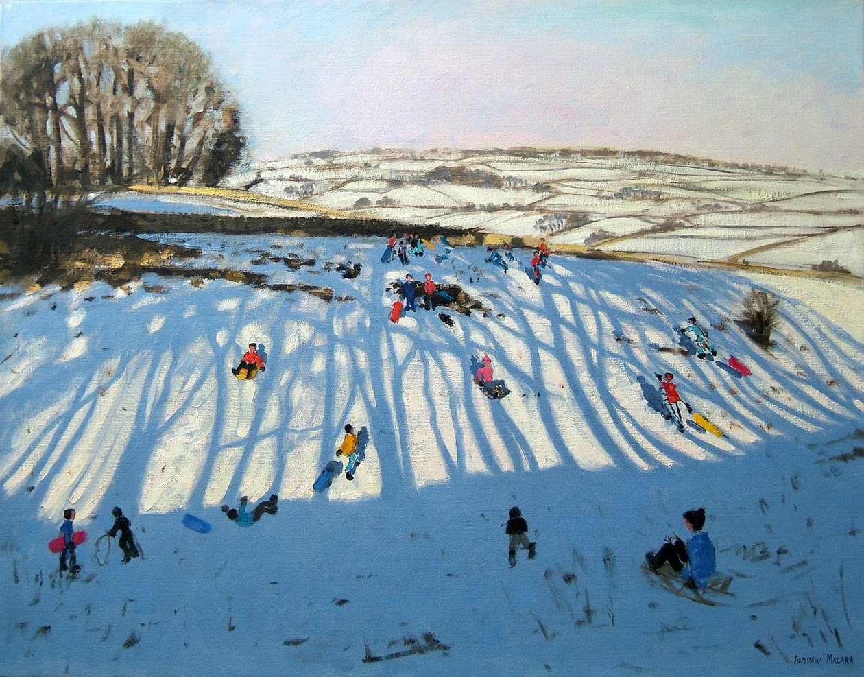 Pola Cieni, Monyash, Derbyshire autorstwa Andrew Macara