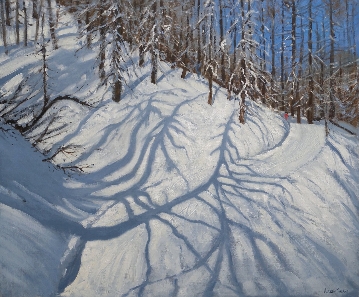 Cienie drzew jodłowych, Tignes, 2009 autorstwa Andrew Macara