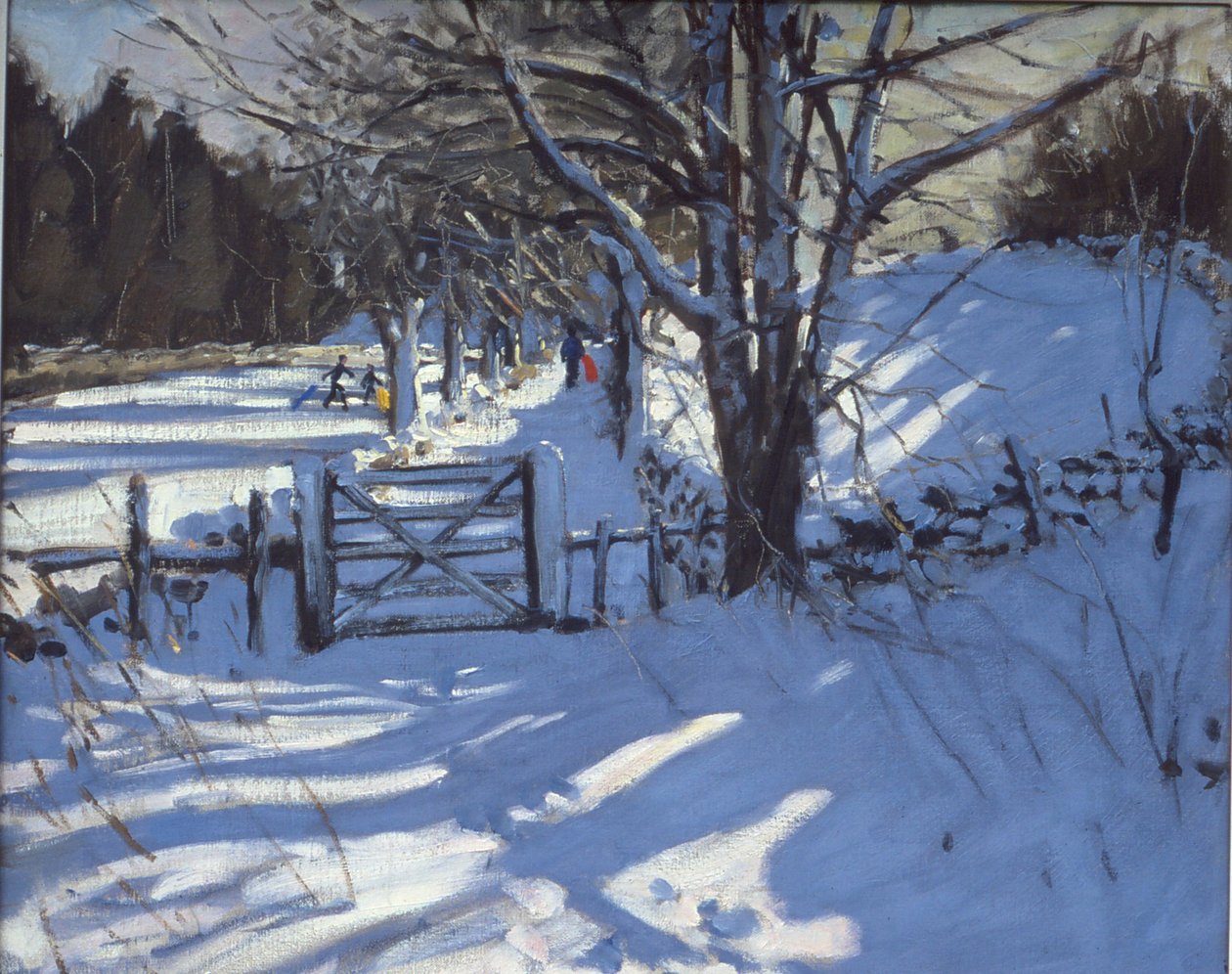 Brama w pobliżu Youlgreave, Derbyshire autorstwa Andrew Macara
