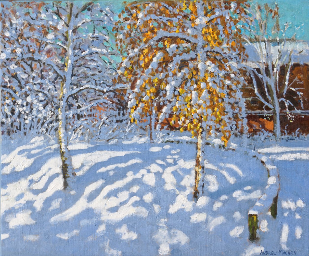 Złote liście zimą, Normanton, Derby (olej na płótnie) autorstwa Andrew Macara