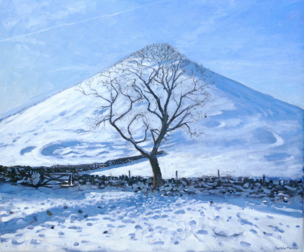 Wzgórze i drzewo, Derbyshire, 2008 autorstwa Andrew Macara