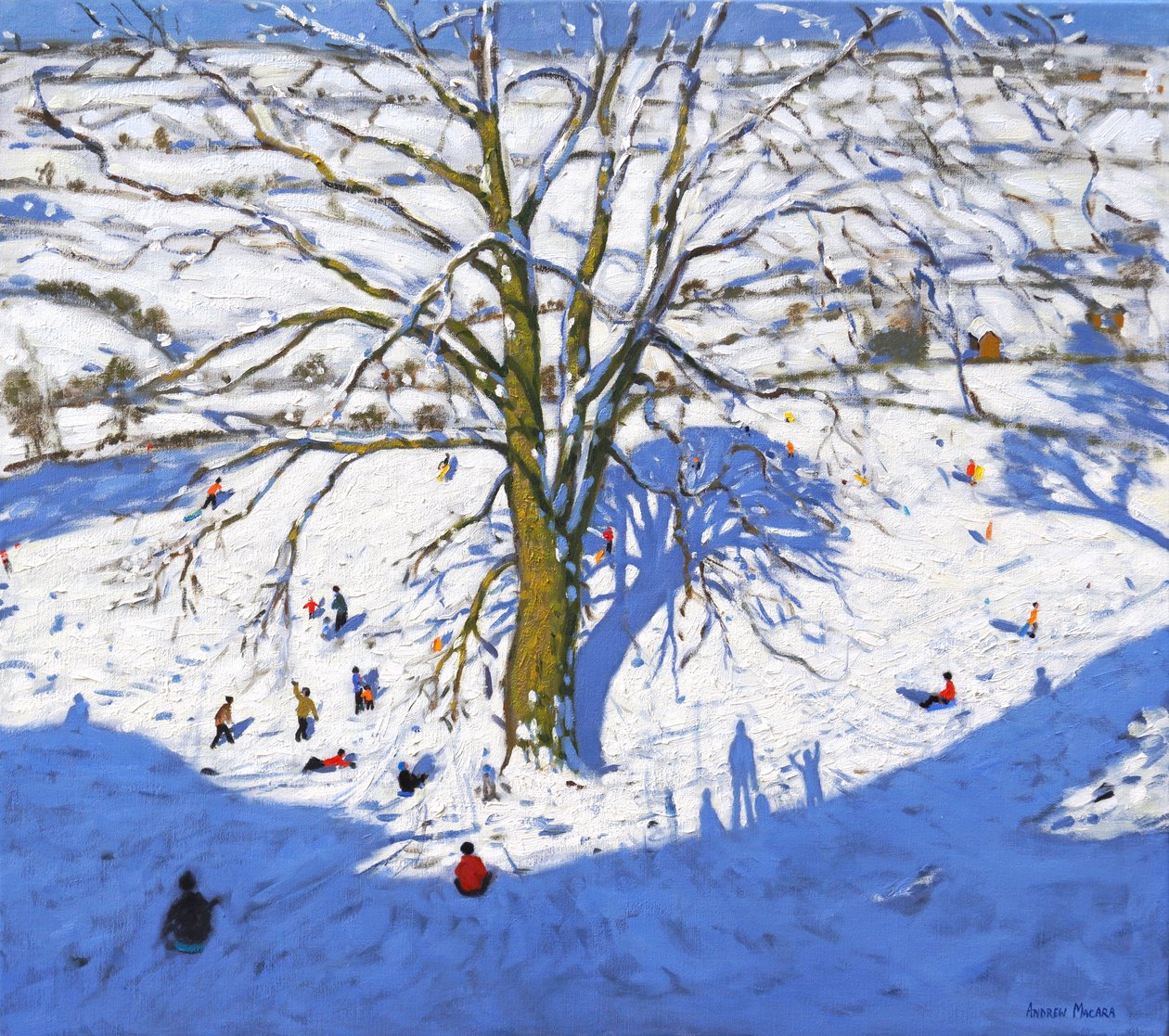 Hillside, Elton, niedaleko Rowsley, Chatsworth, Derbyshire. (Przerobiony) 2017 autorstwa Andrew Macara