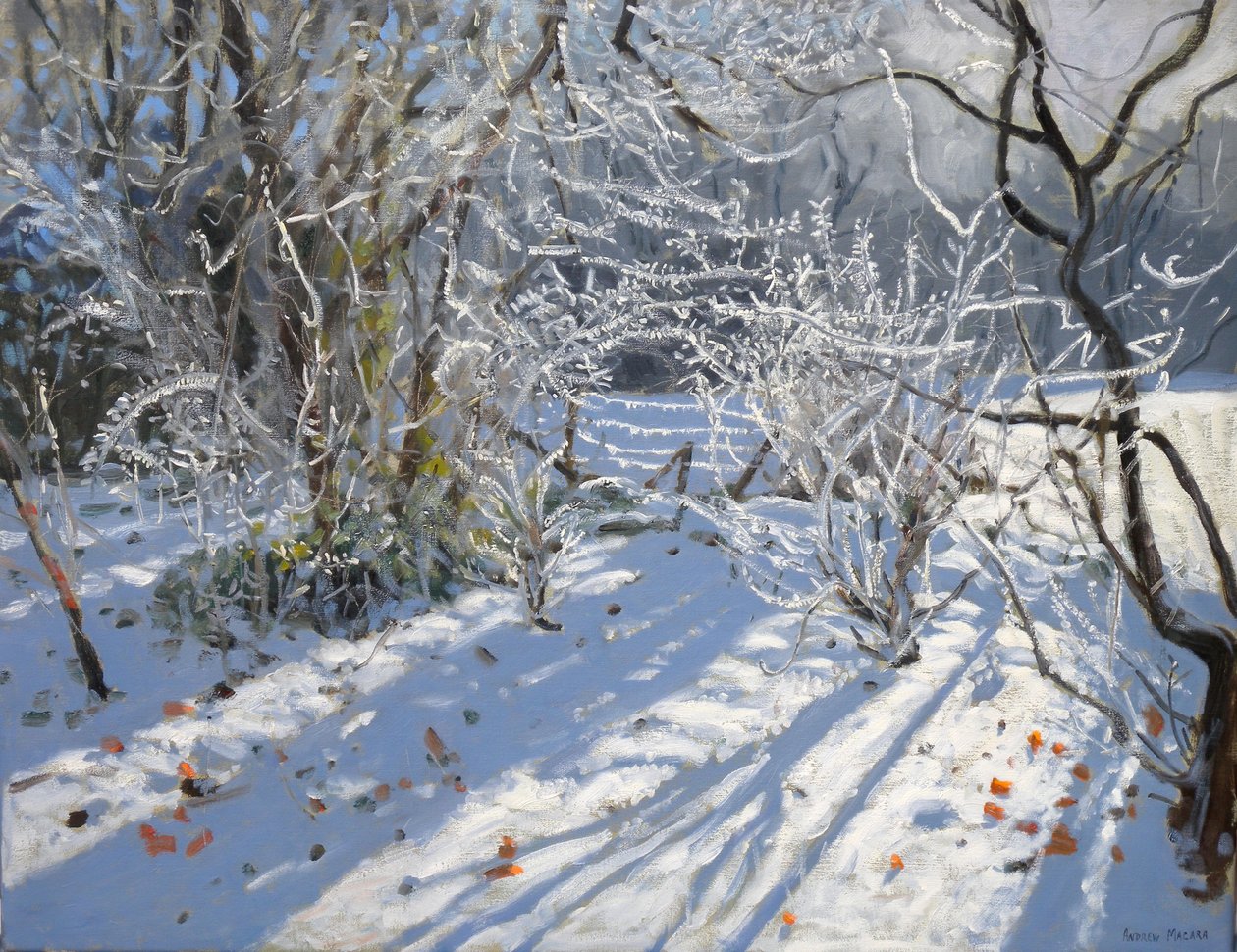 Szron, 2011 autorstwa Andrew Macara
