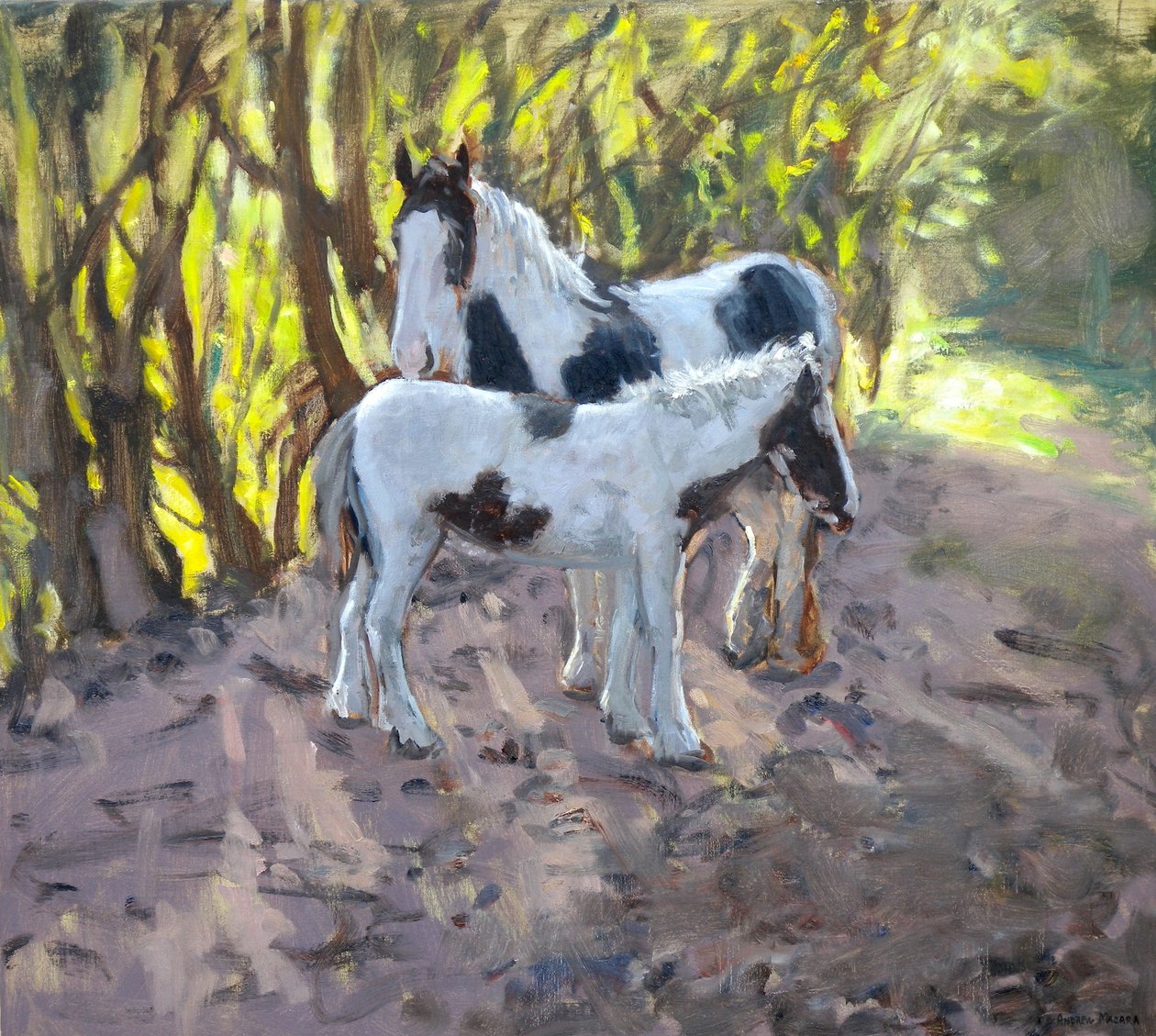 Klacz i źrebię, 2011 (olej na płótnie) autorstwa Andrew Macara