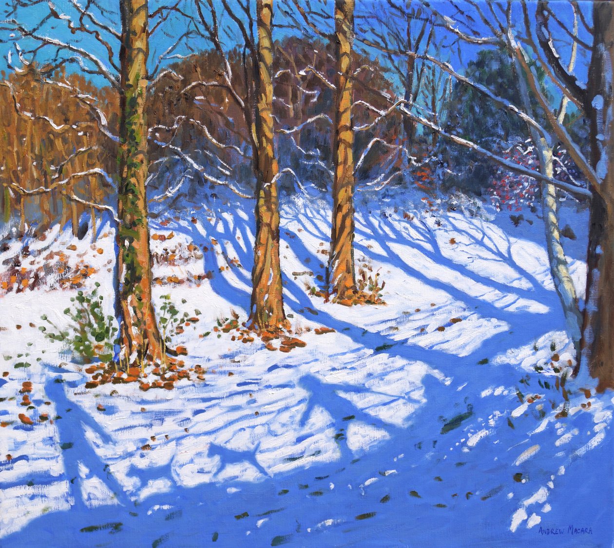 listopadowy śnieg, Allestree Park, Derby, 2017, autorstwa Andrew Macara