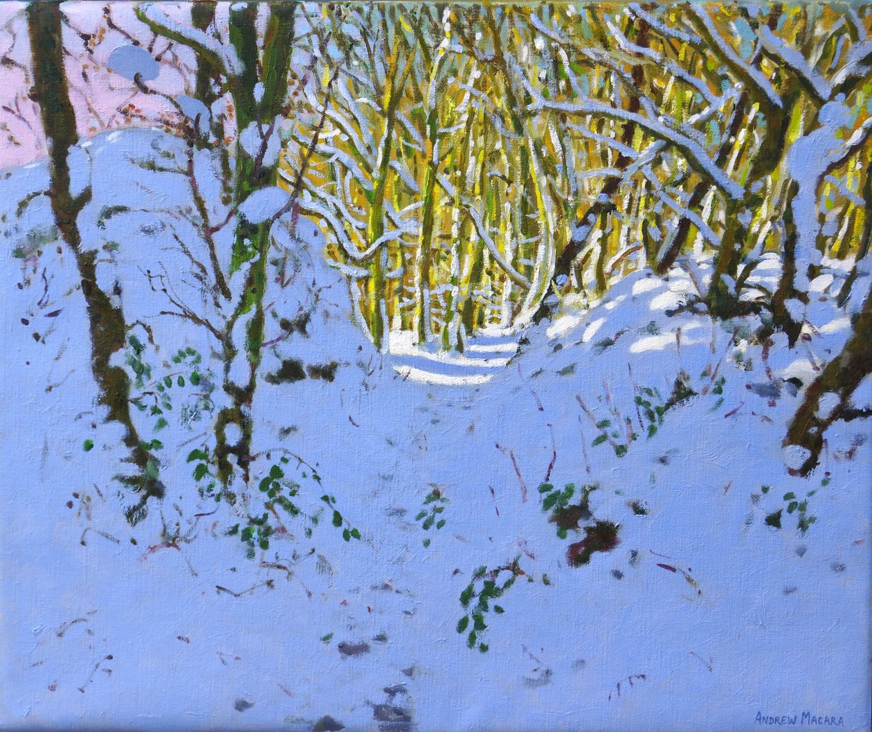Ścieżka przez las zimą Derbyshire (olej na płótnie) autorstwa Andrew Macara