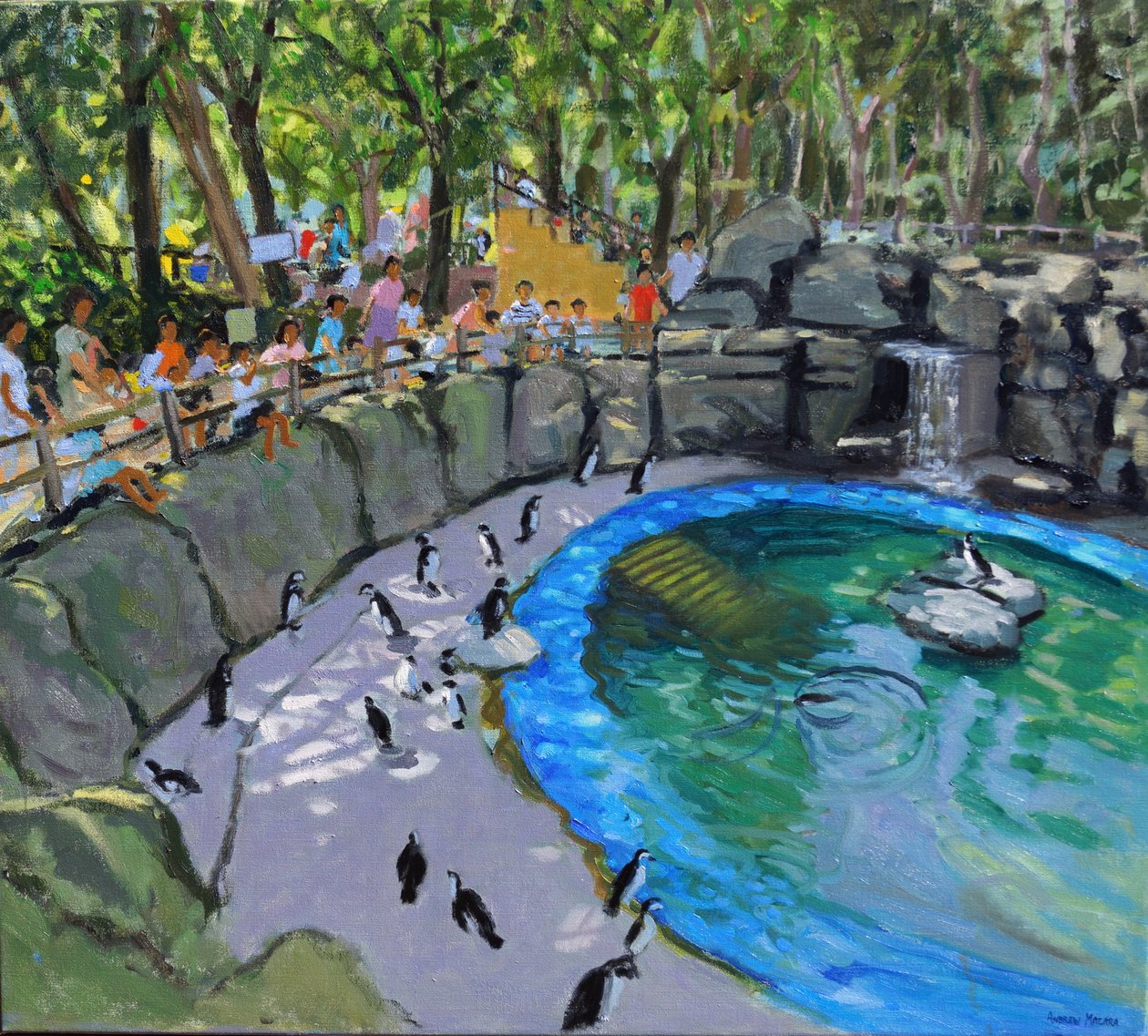 Basen z pingwinami, zoo w Madrycie. 2015 autorstwa Andrew Macara