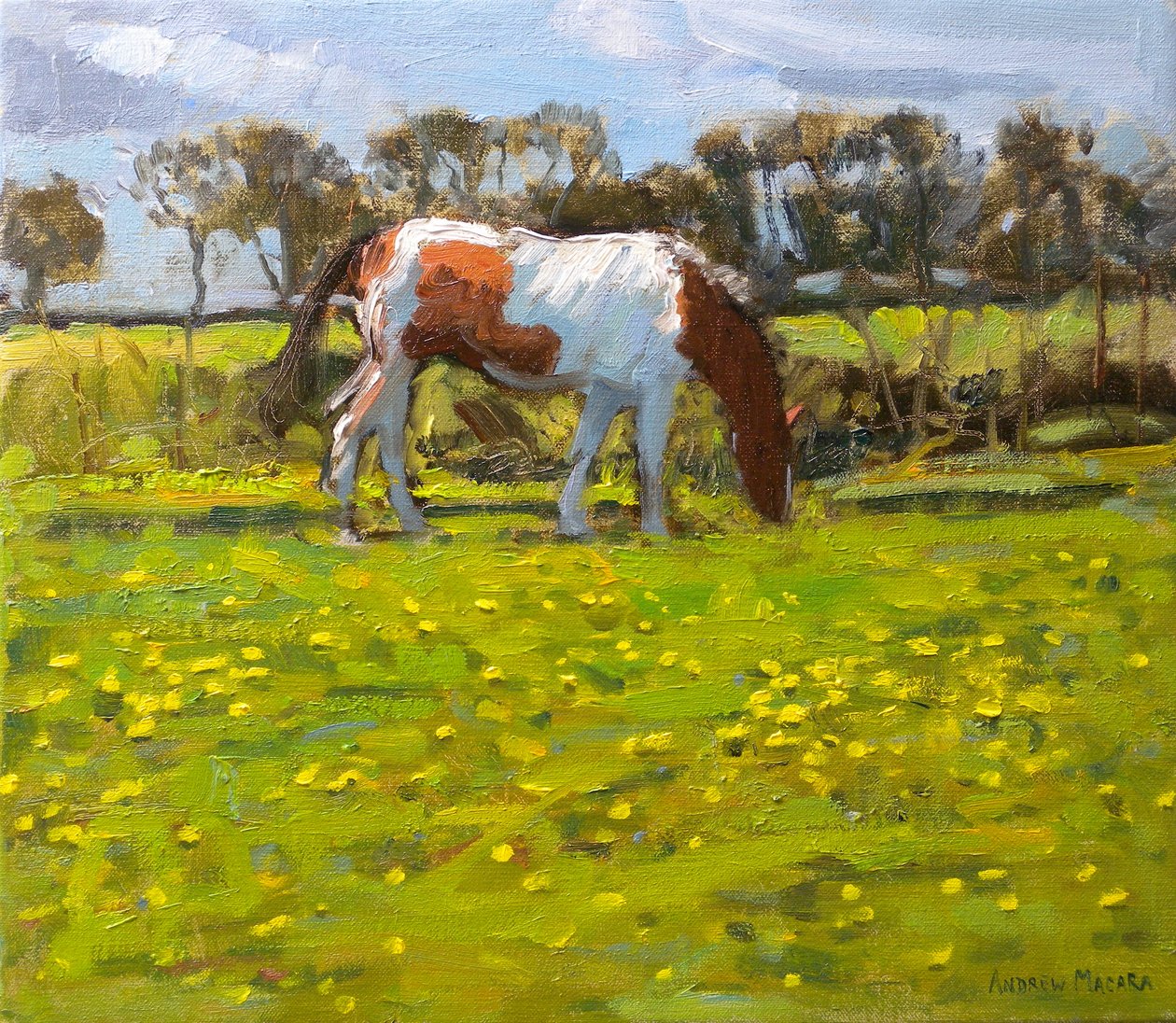 Koń łaciaty, 2010 (olej na płótnie) autorstwa Andrew Macara