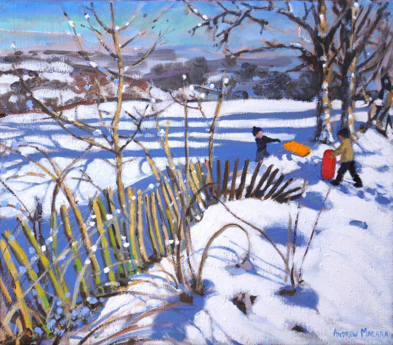 Czerwone i pomarańczowe sanie,Derbyshire, 2017 r, autorstwa Andrew Macara