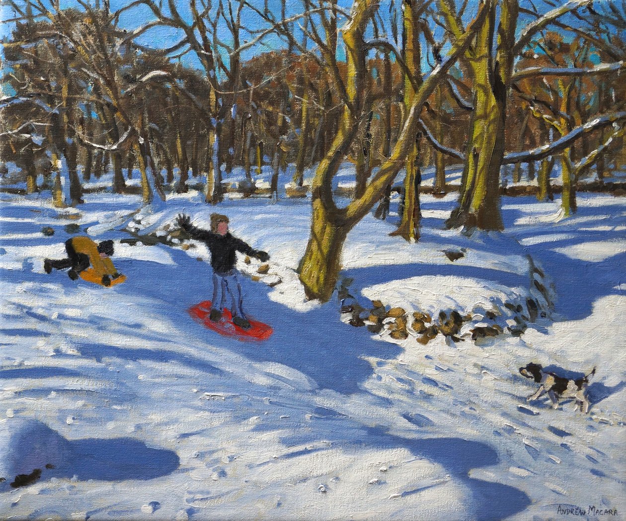 Czerwone sanie, Lomberdale Hall, Derbyshire, 2014, autorstwa Andrew Macara