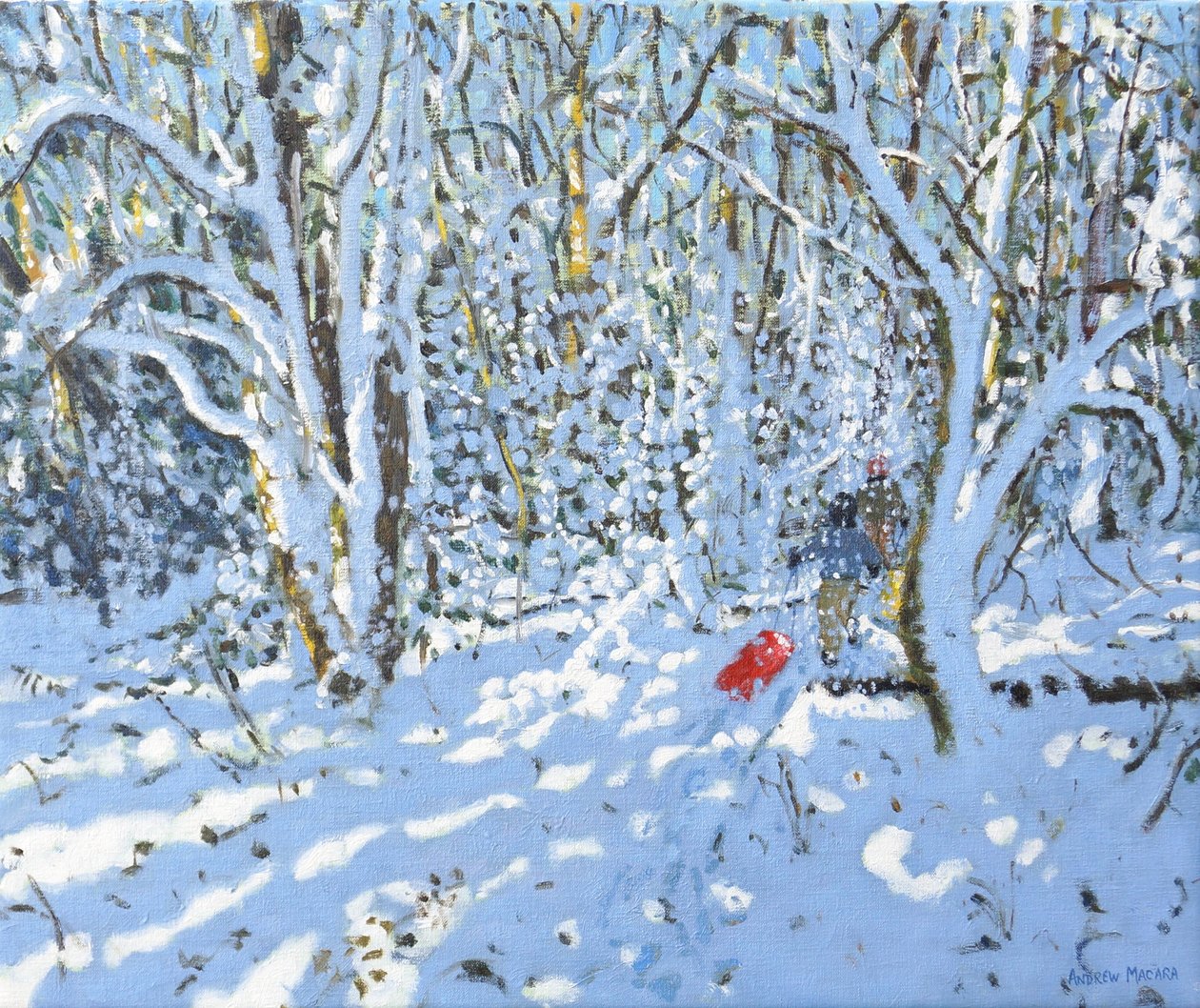 Czerwone sanki, Allestree Park, Derby, 2022 (olej na płótnie) autorstwa Andrew Macara