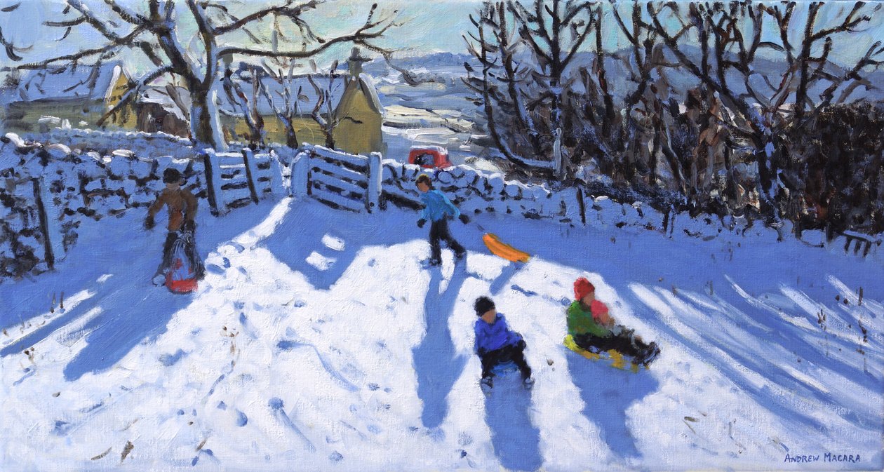 Jazda na sankach, Hartington, Buxton, 2020 autorstwa Andrew Macara