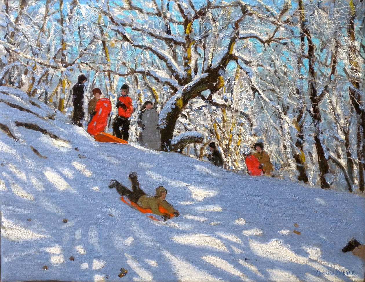 Jazda na sankach, 2010 (olej na płótnie) autorstwa Andrew Macara