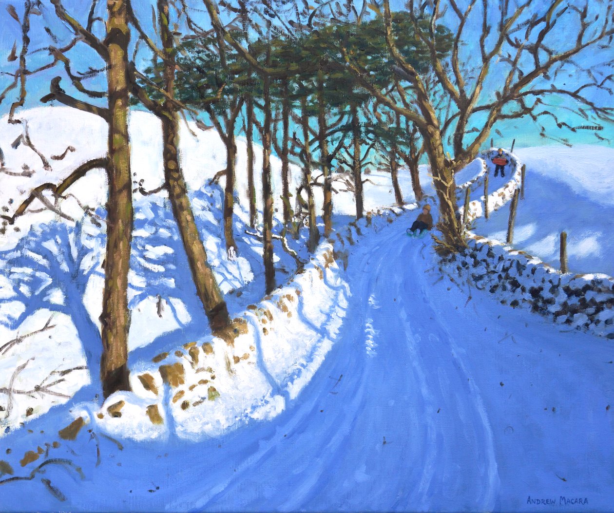 Sanki w Derbyshire Peak District, 2023 (olej na płótnie) autorstwa Andrew Macara