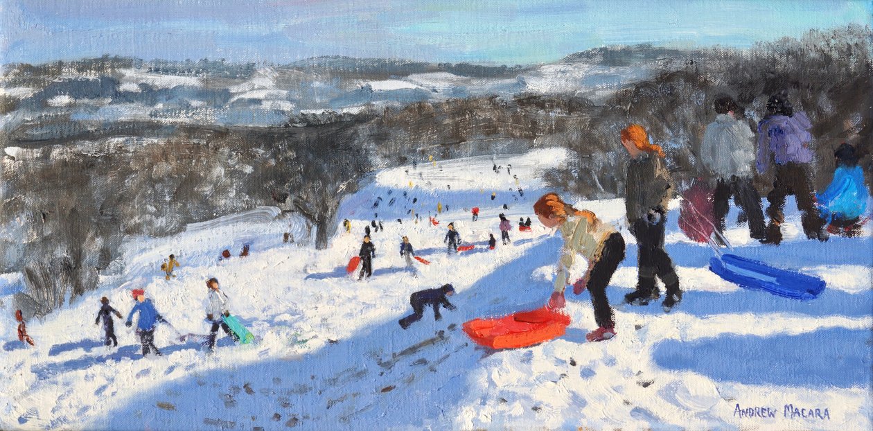 Czerwone sanki, Allestree Park, Derby, 2016, autorstwa Andrew Macara