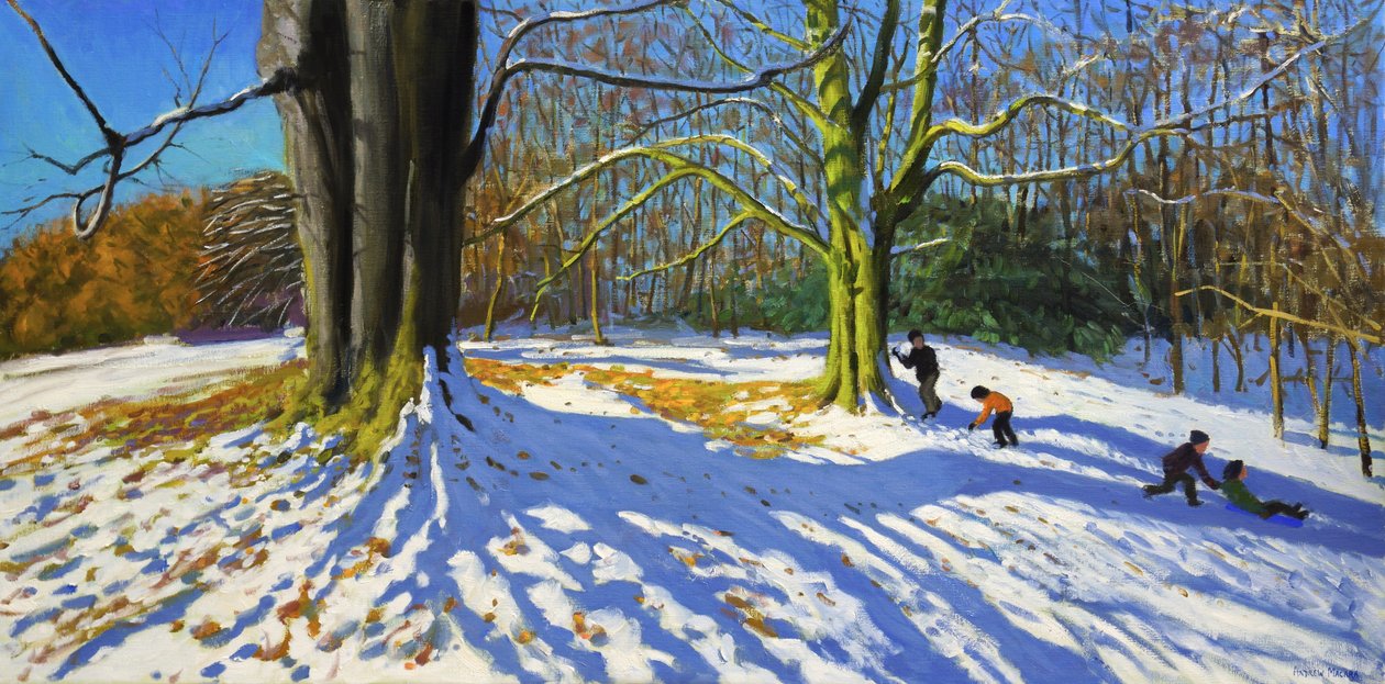 Szczyt parku Allestree, 2014 (olej na płótnie) autorstwa Andrew Macara