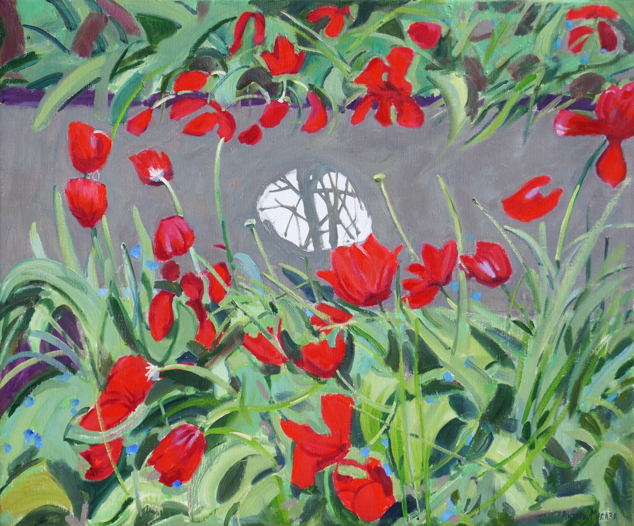 Tulipany i refleksja, 2017, autorstwa Andrew Macara