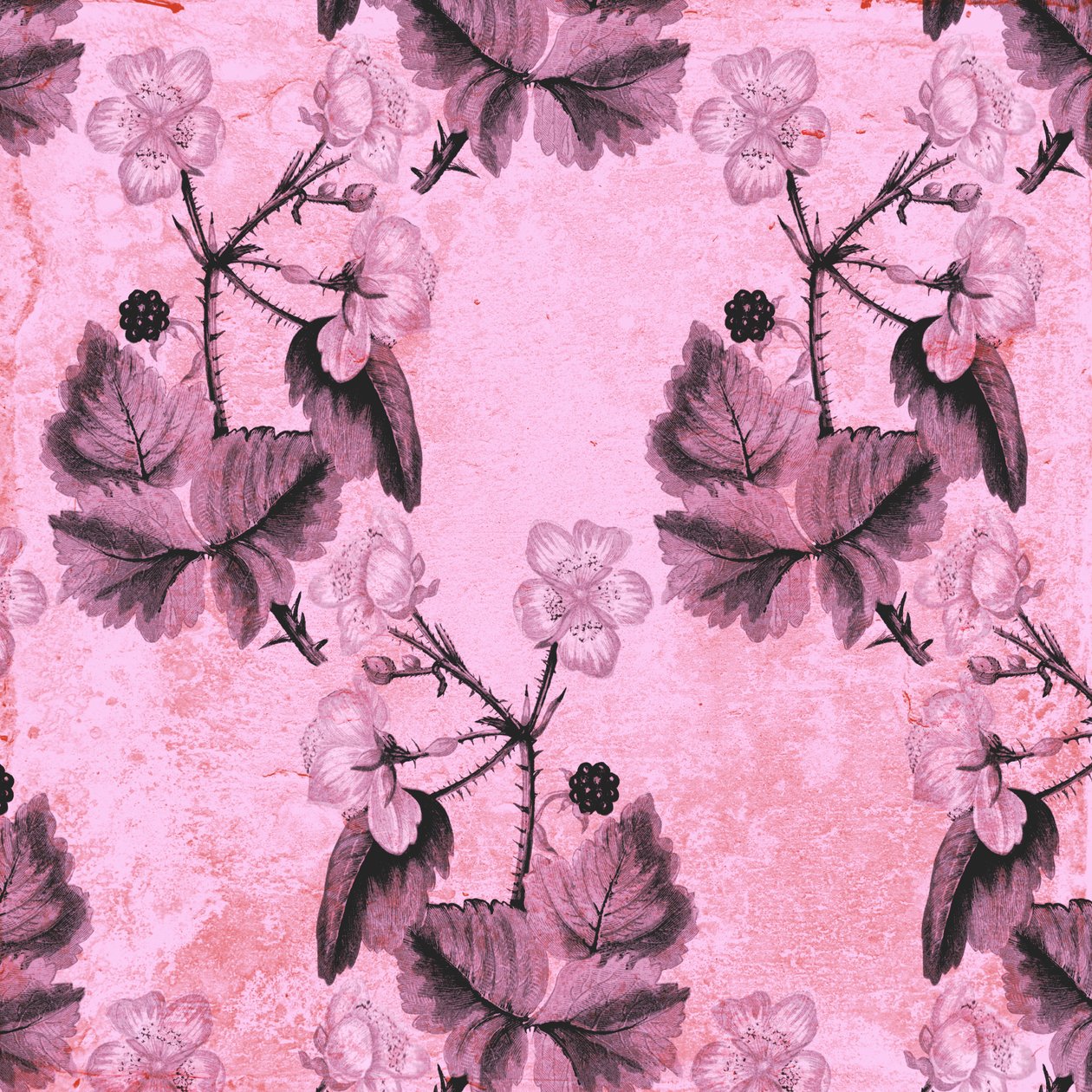 Blackberry Floral, 2017, akwarela i cyfrowa autorstwa Andrew Watson
